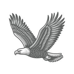 American Bald Eagle Silhouette Vector Art - Perfect for Laser Cutting, Cricut Files, and Wood Engraving