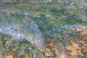 Moss is single-celled algae that clings to areas with flowing water