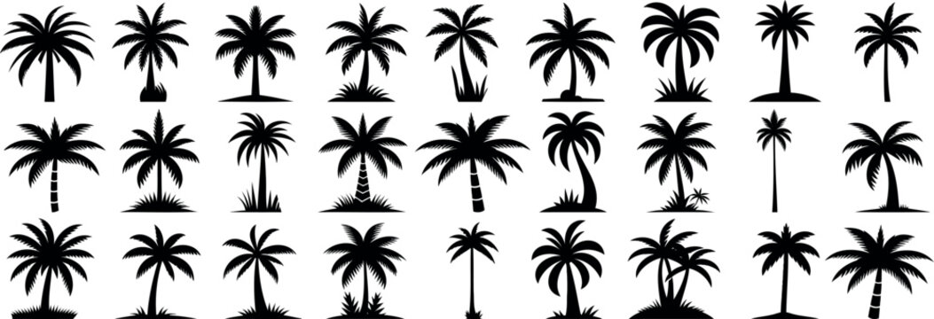 Palm tree silhouette vector collection. Tropical landscape elements ideal palm tree for exotic designs, nature illustrations, and beach theme projects