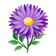 daisy with purple petals
