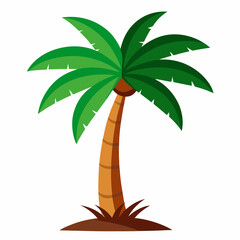 palm tree illustration