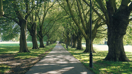 University of London and Cambridge