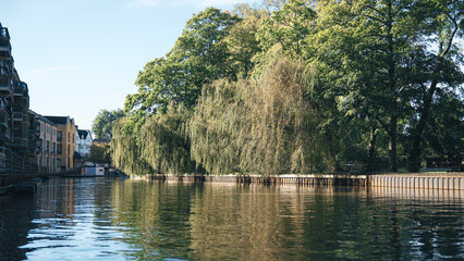 University of London and Cambridge