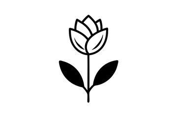 line art tulip floral vector illustration with white background