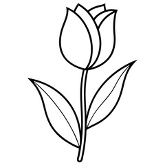 line art tulip floral vector illustration with white background