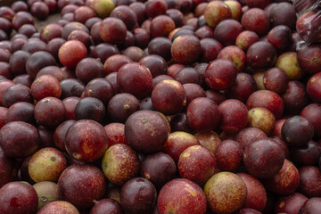 CAMU CAMU, AMAZONIAN FRUIT THAT GROWS ON THE BANKS OF RIVERS, DELICIOUS RED FRUIT KNOWN AS CAMU CAMU, DELICIOUS IN ICE CREAMS AND DESSERTS