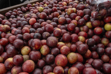 CAMU CAMU, AMAZONIAN FRUIT THAT GROWS ON THE BANKS OF RIVERS, DELICIOUS RED FRUIT KNOWN AS CAMU CAMU, DELICIOUS IN ICE CREAMS AND DESSERTS
