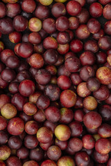 CAMU CAMU, AMAZONIAN FRUIT THAT GROWS ON THE BANKS OF RIVERS, DELICIOUS RED FRUIT KNOWN AS CAMU CAMU, DELICIOUS IN ICE CREAMS AND DESSERTS