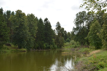 Beautiful landscape. Pond surrounded by forest.