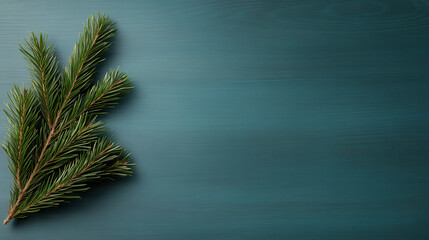 Fresh pine branch on teal background, perfect for holiday decor