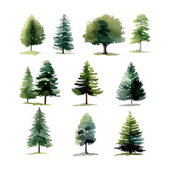 Obraz premium Pine tree set. Watercolor hand drawn illustration isolated on white background.