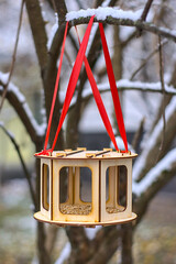 new bird feeder on a snowy branch.