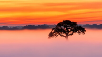 Obraz premium A solitary tree stands amidst fog with a vibrant sunset sky, creating a serene and picturesque landscape.