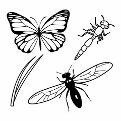 pest vector art