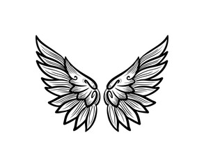 Hand drawn wing design, angel symbol on white background