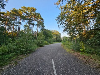 Verlassene Strasse in der Natur