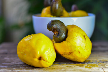 O caju é muitas vezes tido como o fruto do cajueiro quando, na verdade, trata-se de um pseudofruto.