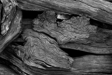 close up of old wood texture