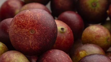 CAMU CAMU, AMAZONIAN FRUIT THAT GROWS ON THE BANKS OF RIVERS, DELICIOUS RED FRUIT KNOWN AS CAMU CAMU