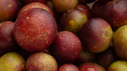 CAMU CAMU, AMAZONIAN FRUIT THAT GROWS ON THE BANKS OF RIVERS, DELICIOUS RED FRUIT KNOWN AS CAMU CAMU