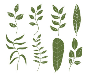 Silhouette green botanical leaves collections. Vector illustration