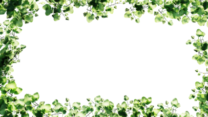 Fresh green leaves and flower frame isolated with transparent background