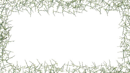 Fresh green leaves and flower frame isolated with transparent background