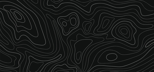 abstract pattern with swirls. Panorama view gradient multicolor wave curve lines. Line topography map contour background. Topographic contour map abstract tech motion graphic design.