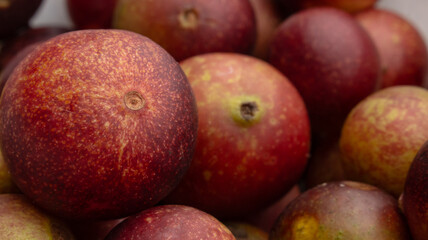 CAMU CAMU, AMAZONIAN FRUIT THAT GROWS ON THE BANKS OF RIVERS, DELICIOUS RED FRUIT KNOWN AS CAMU CAMU