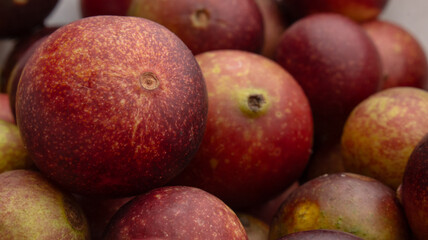 CAMU CAMU, AMAZONIAN FRUIT THAT GROWS ON THE BANKS OF RIVERS, DELICIOUS RED FRUIT KNOWN AS CAMU CAMU