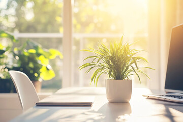 Green potted plant on a sunlit office desk with a notebook and laptop, creating a peaceful and productive work environment