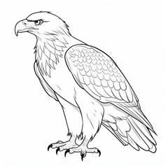 Fototapeta premium A line drawing of a bald eagle standing facing left with its wings folded, showing its detailed feathers and sharp talons.