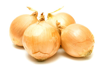 onion is not white background