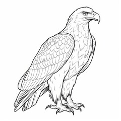 Fototapeta premium Line art illustration of an eagle standing in profile.