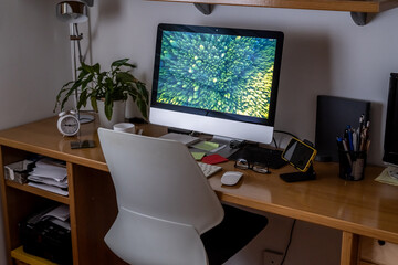 Minimalist Home Office Setup With Desktop, Green Plant, And Coffee Mug For A Relaxed And Organized...