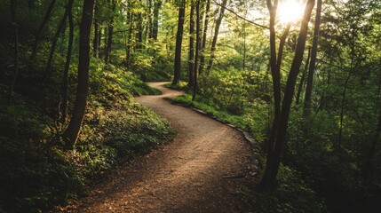 Fototapeta premium A picturesque outdoor hiking trail with winding paths, dense forest, and sunlight filtering through the trees