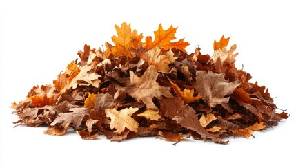 Fototapeta premium A small pile of yellow and orange autumn leaves, loosely scattered and mixed with a few green leaves, isolated on white background