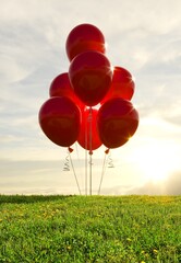 A giant red balloon floats gracefully against a warm morning sky, overlooking a field of blooming flowers. 3D Render.