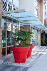 Two red pots with trees near the building entrance outdoors in Canada. City street with potted trees