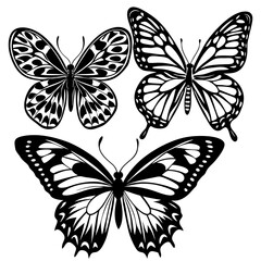 set of butterflies