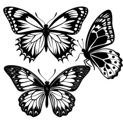 set of butterflies