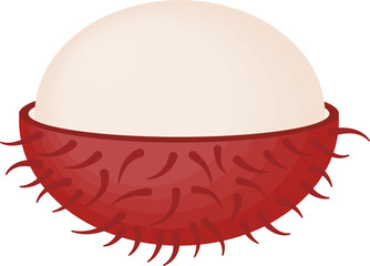 Rambutan fruit vector illustration