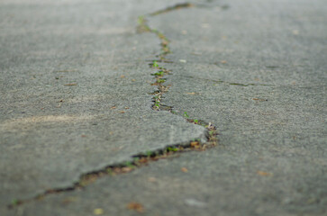 The ground cracked due to the earthquake, the asphalt road was damaged and cracked.