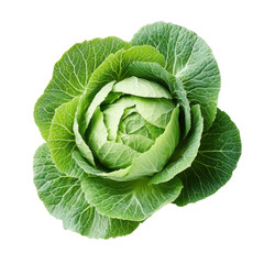 Obraz premium Fresh green cabbage head, raw leafy vegetable texture, healthy organic produce for cooking and nutrition design isolated PNG with Transparent Background