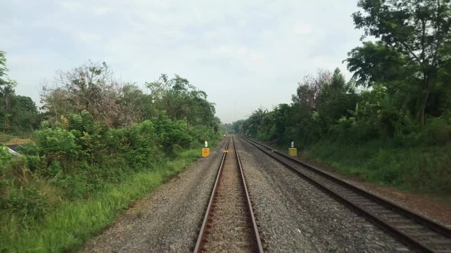 the train runs through the trees