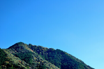 晩秋の山