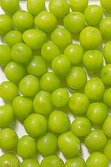 Shine Muscat Grape with on white background.