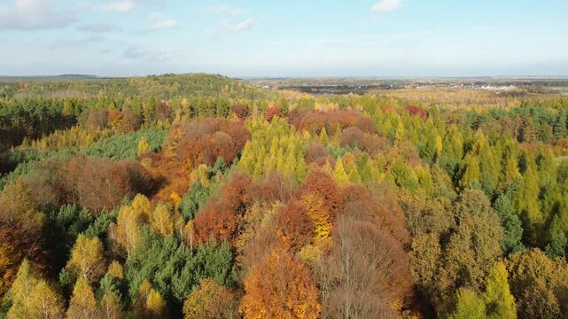 Expansive orange yellow and gren fall forest under partly cloudy sky
