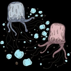 Jellyfish