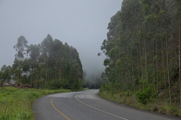 brouillard sur une route de montagne